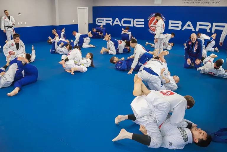 jiu jitsu in herriman 1